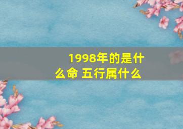 1998年的是什么命 五行属什么